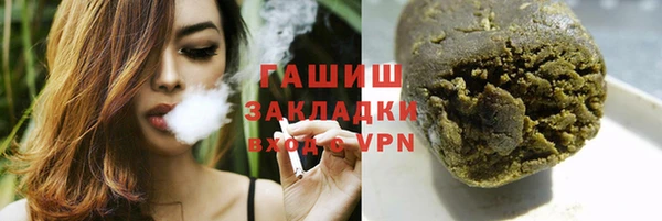 мдпв Каменка