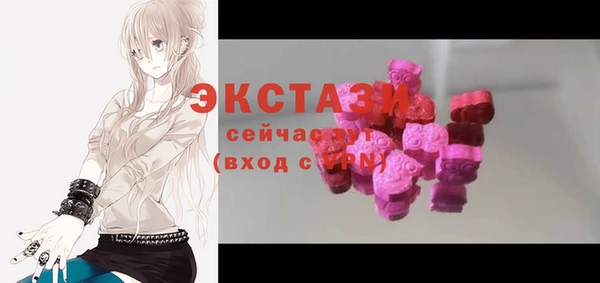 мдпв Каменка