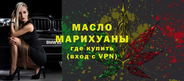 мдпв Каменка
