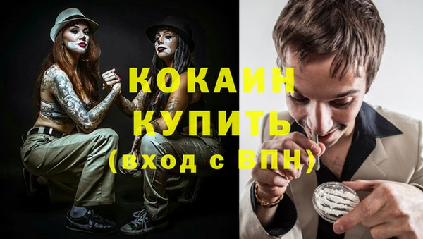 мдпв Каменка