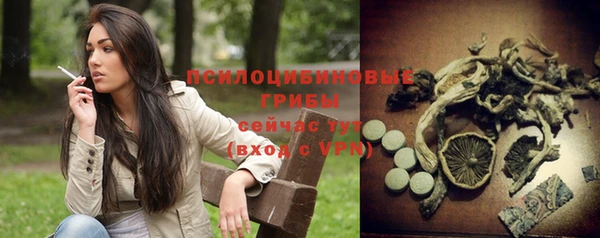 PSILOCYBIN Касимов