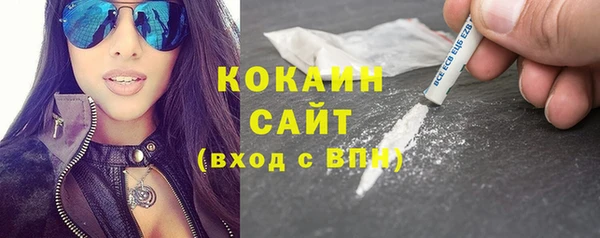мдпв Каменка