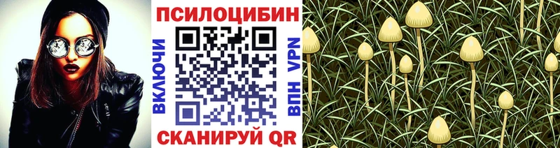Купить закладки  Николаевск-на-Амуре  Галлюциногенные грибы Magic Shrooms 